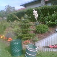 Gartenpflege von Uwe Linzbauer